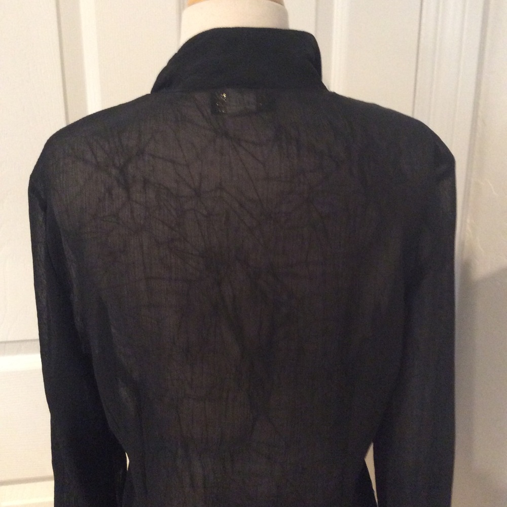 Modacor Sheer Blouse - Picture 3 of 4
